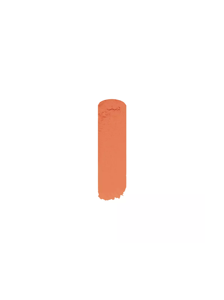 Corrector Paint Stick SP PRO 10g 2