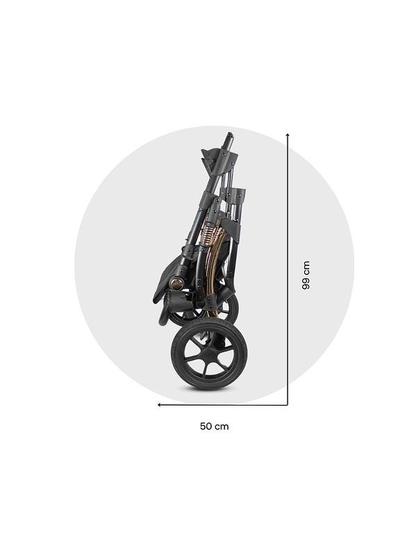 Coche Spring Gold Black Premium 13