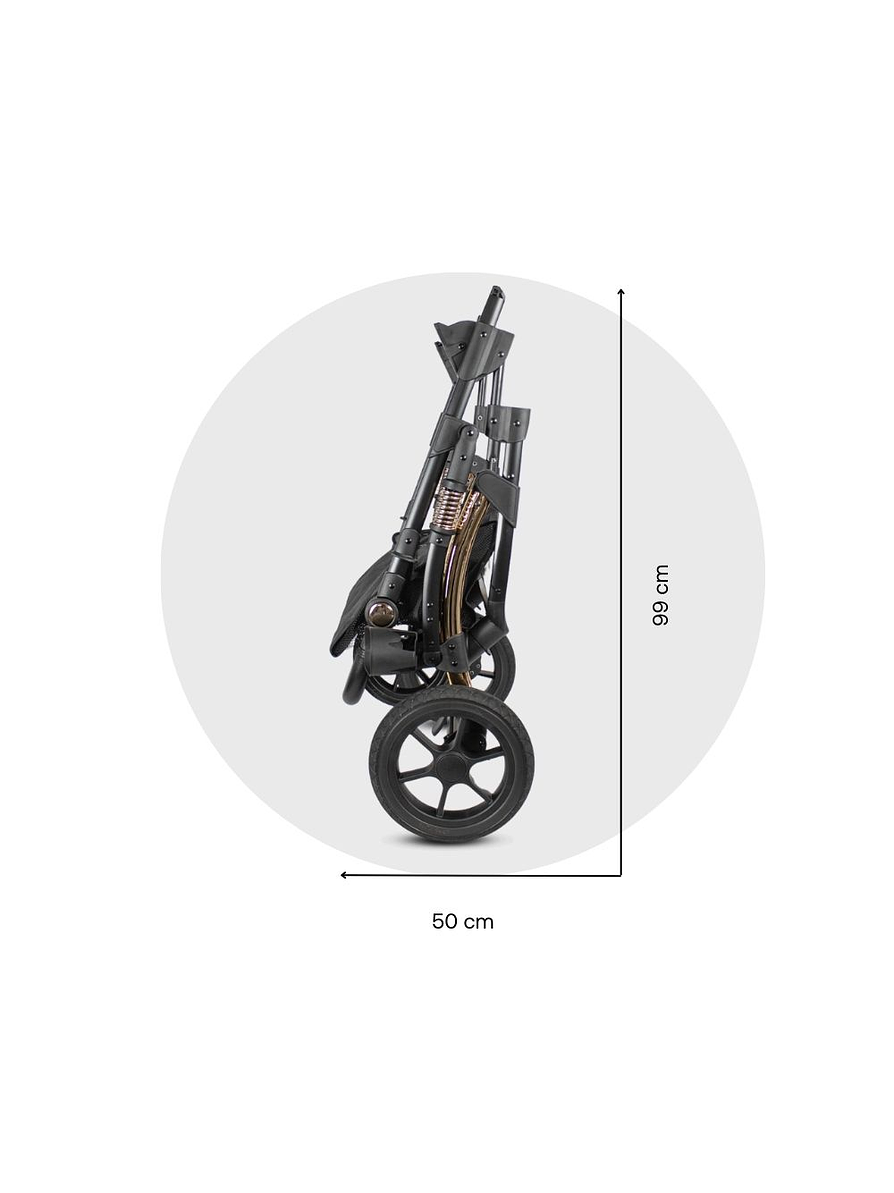 Coche Spring Gold Black Premium 13