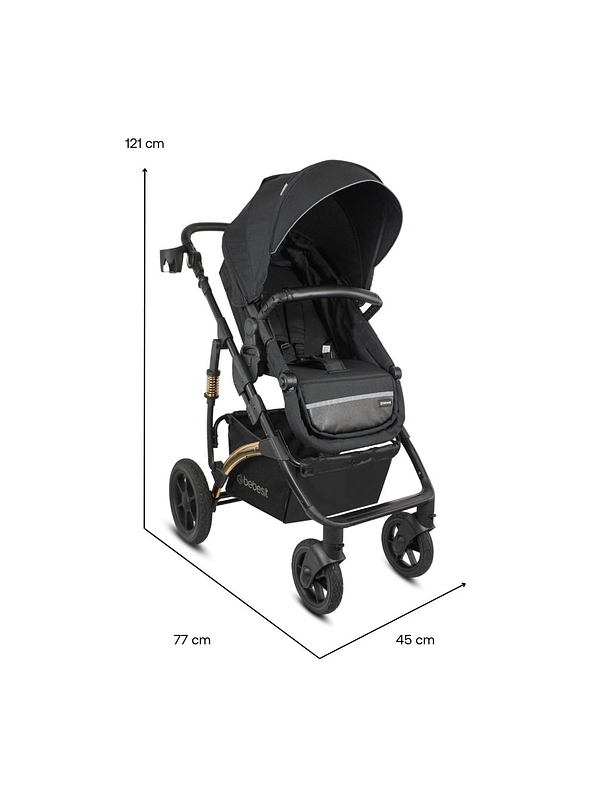 Coche Spring Gold Black Premium 5