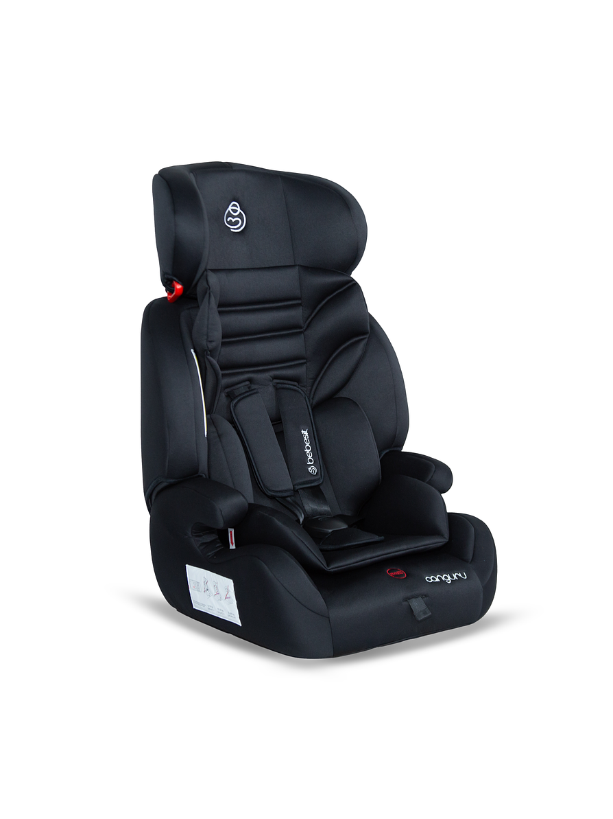 Silla Auto Canguru Black 2