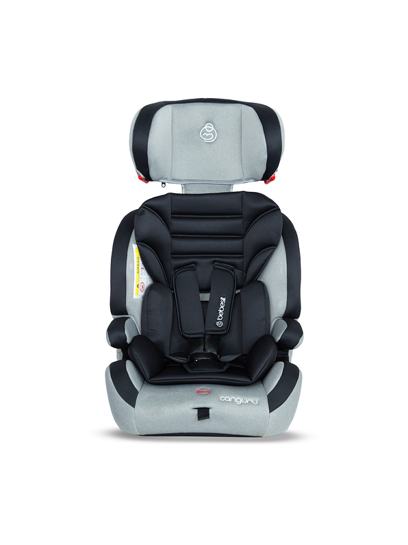 Silla Auto Canguru Gray 1
