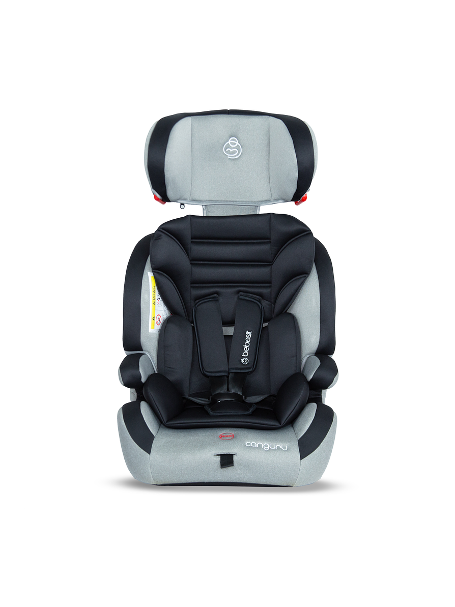 Silla Auto Canguru Gray 1