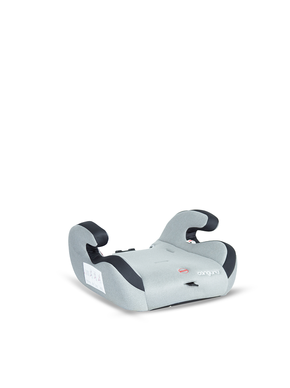 Silla Auto Canguru Gray 5