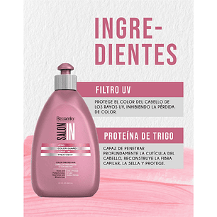 Tratamiento sin enjuague Color Guard Salon In 300 ml
