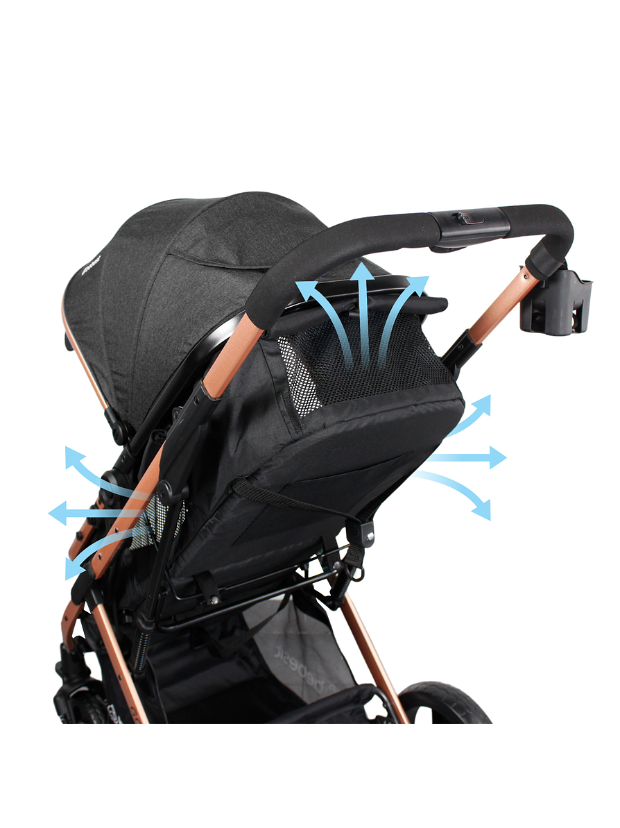 Coche Gold LX Black 6