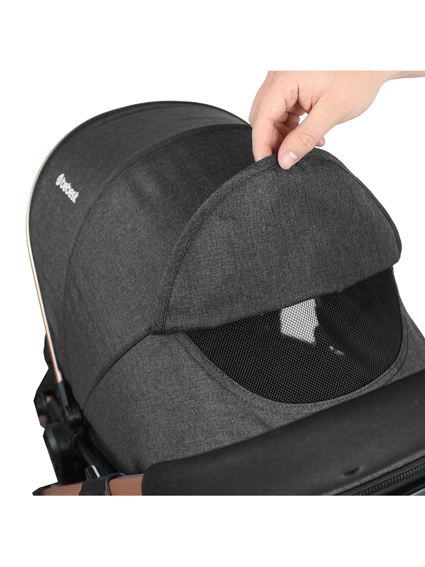 Coche Gold LX Black 8