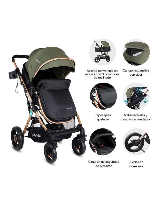 Coche Gold LX Green 4