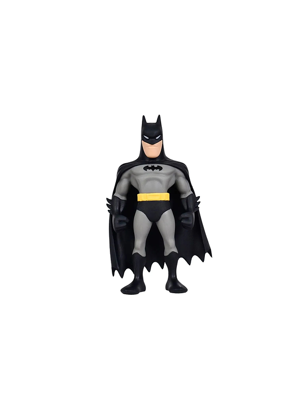 Figura Coleccionable Batman MINIX 1