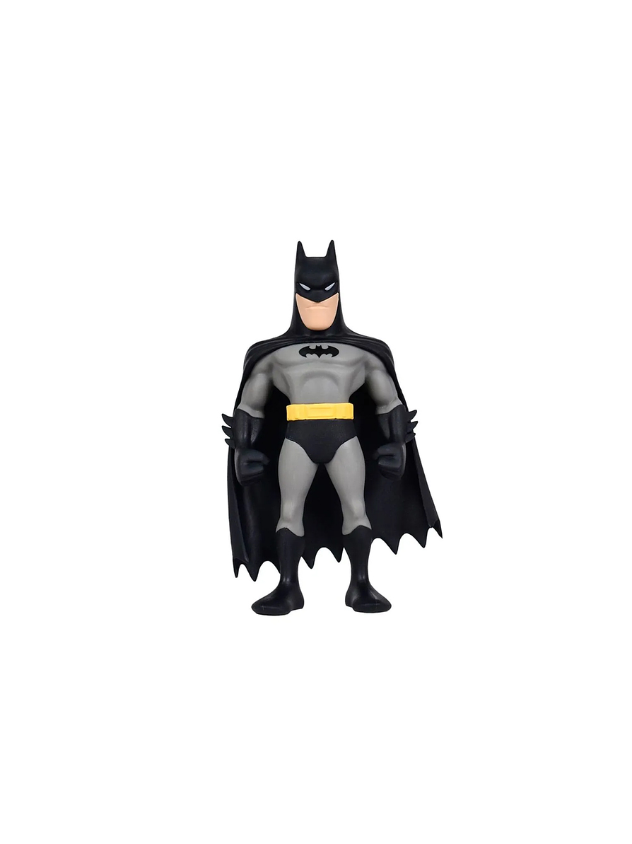 Figura Coleccionable Batman MINIX 1