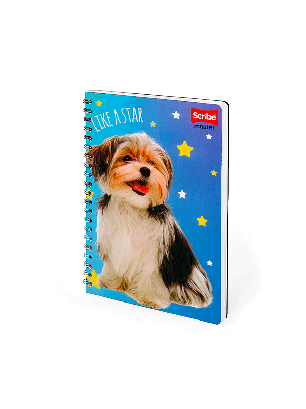 Cuaderno Argollado Pasta Dura Femenino 80 Hojas Cuadros 6