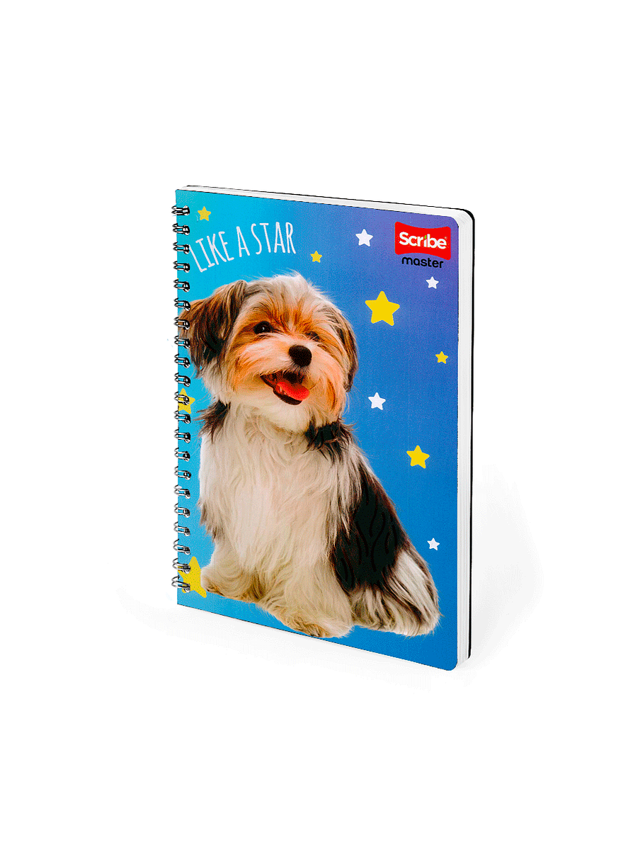 Cuaderno Argollado Pasta Dura Femenino 80 Hojas Cuadros 6