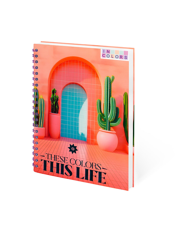 Agenda Catedrática 5 Materias Incolors 5