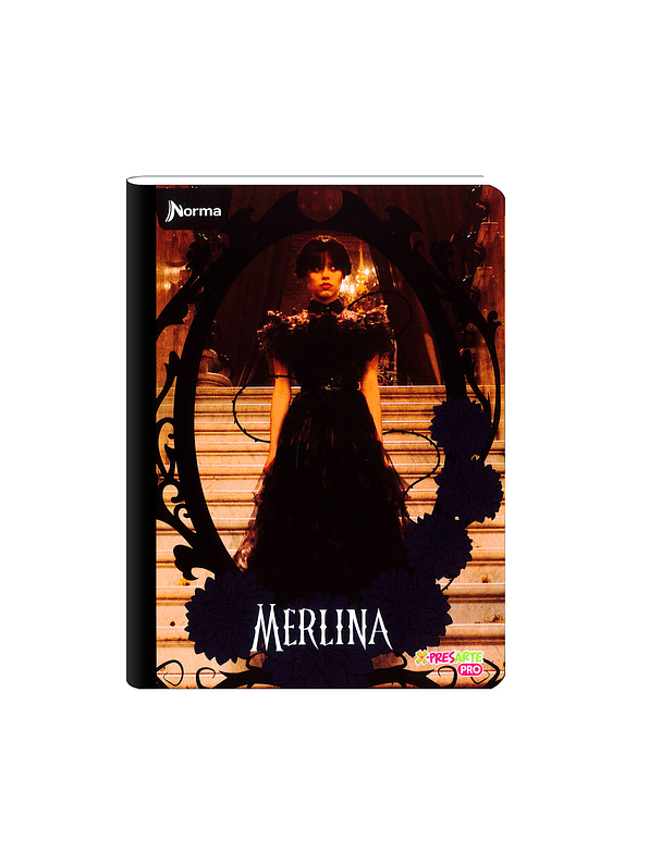 Cuaderno Cosido Norma Merlina 50 Hojas Cuadros 2