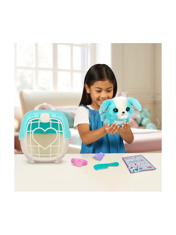 Scruff A Luvs de Despelucados a bien aseados Surtidos 5