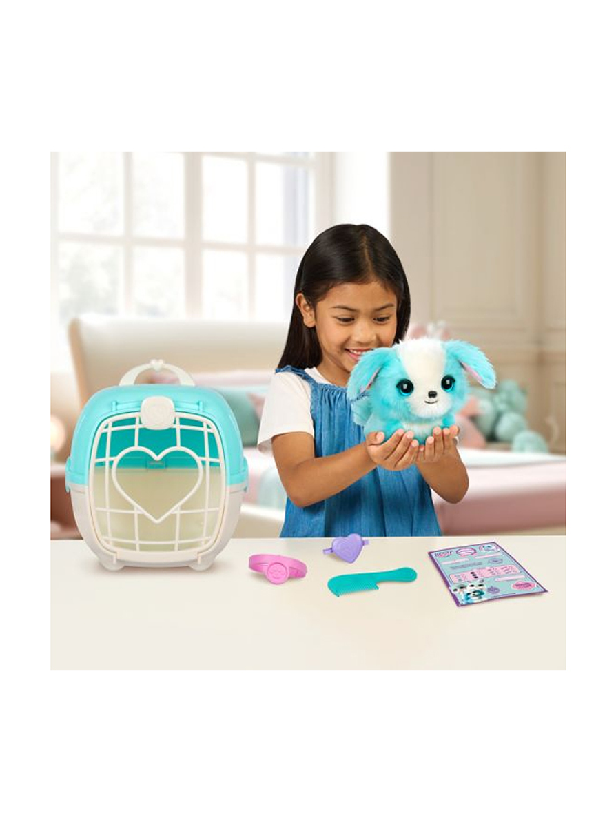 Scruff A Luvs de Despelucados a bien aseados Surtidos 5