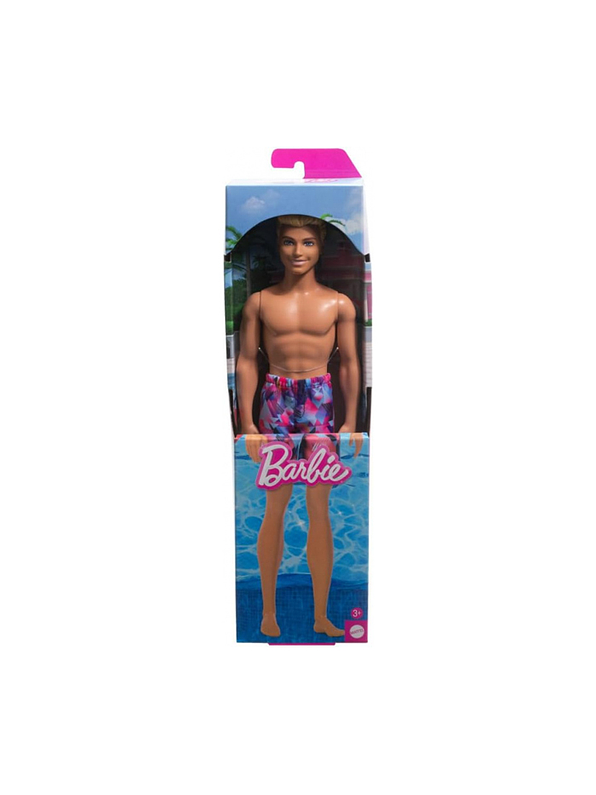 Barbie Ken en la Playa 4