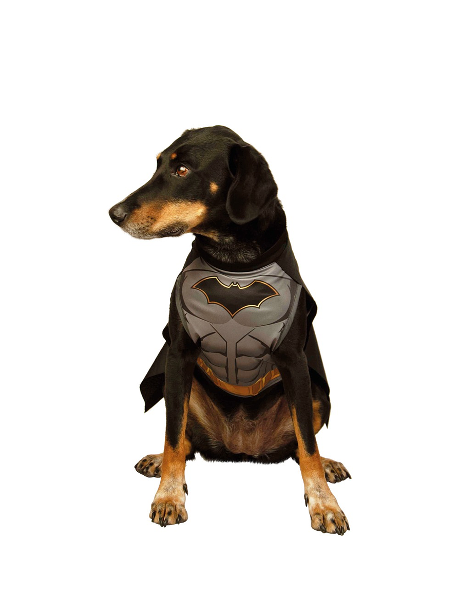 Disfraz Para Perro De Batman 1