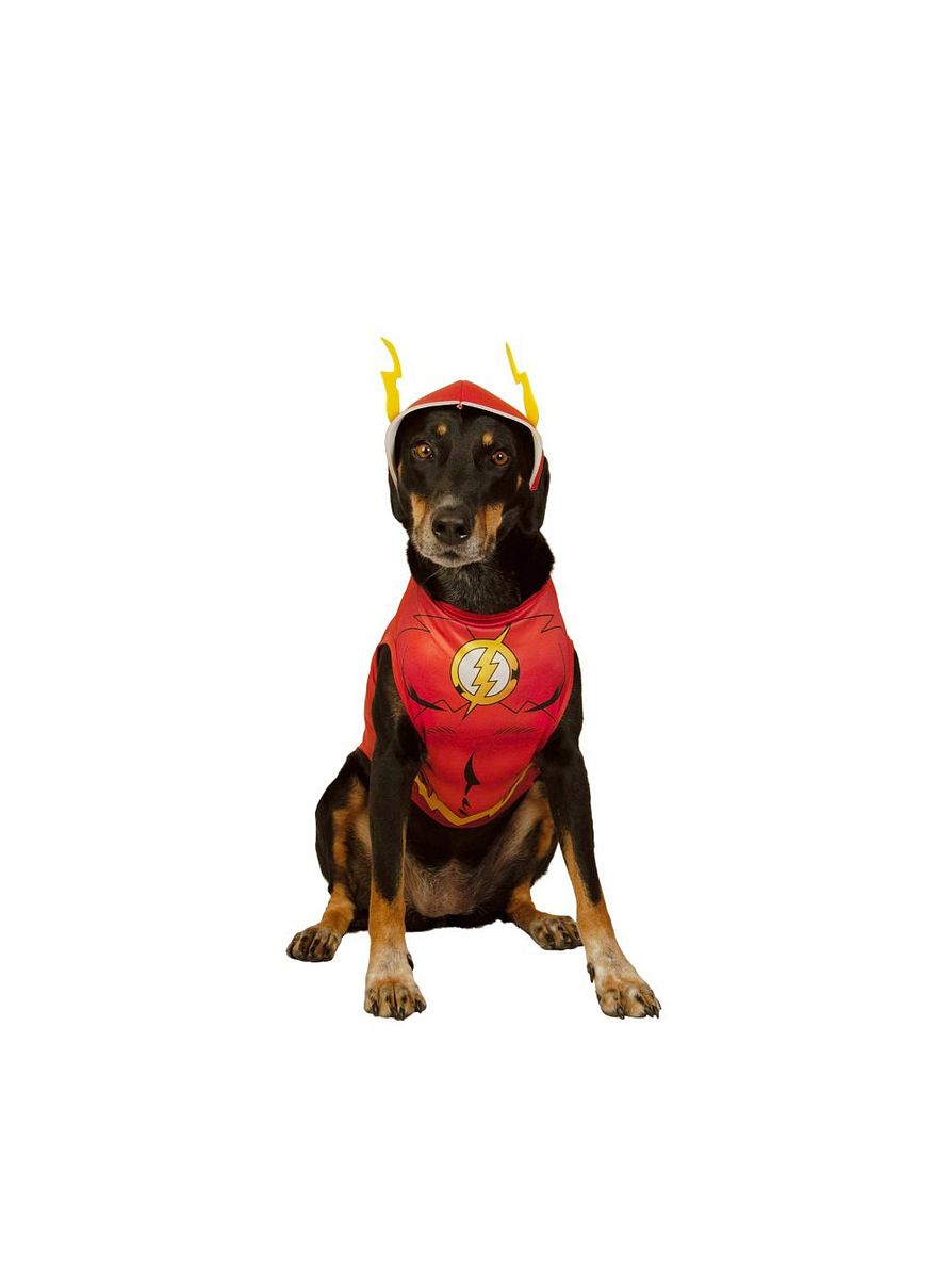 Disfraz Para Perro De Flash  1