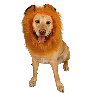 Melena De León Para Perro 