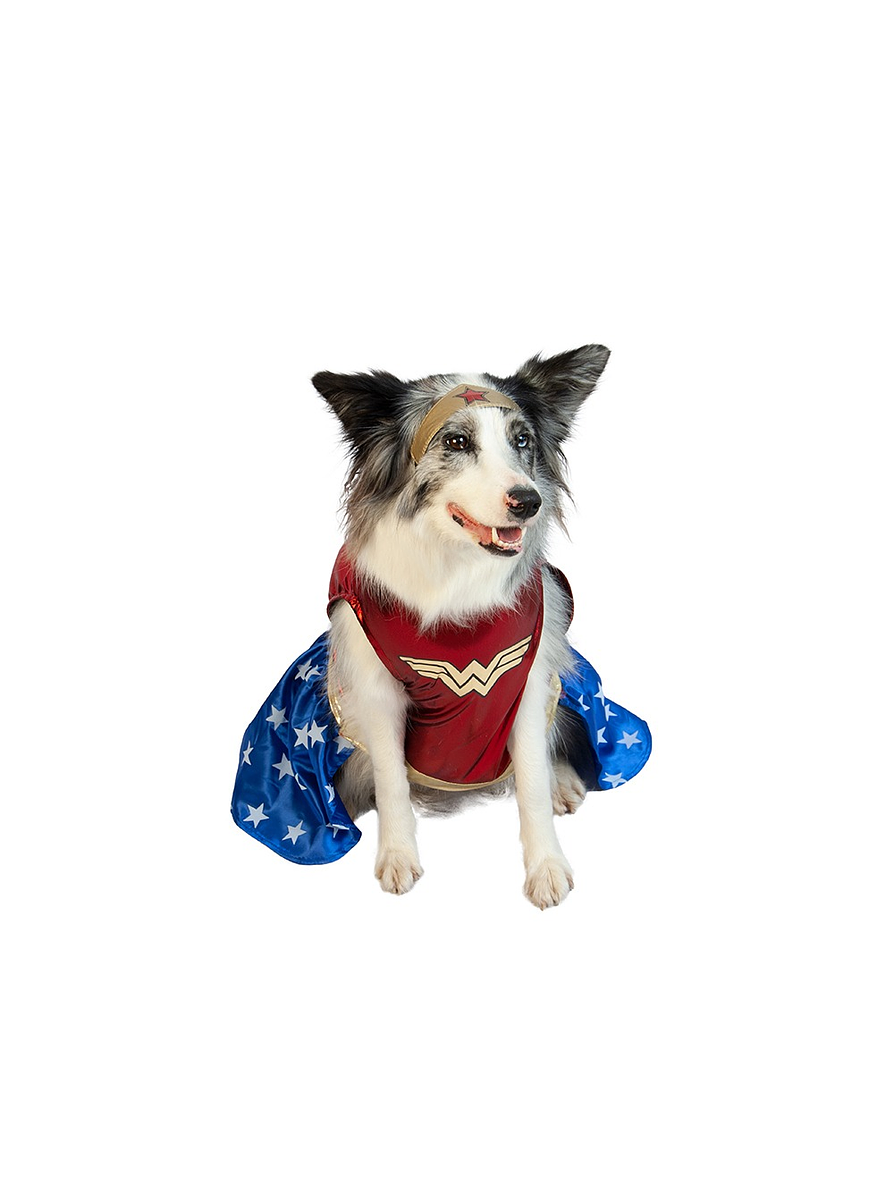 Disfraz Para Perro De Mujer Maravilla  1