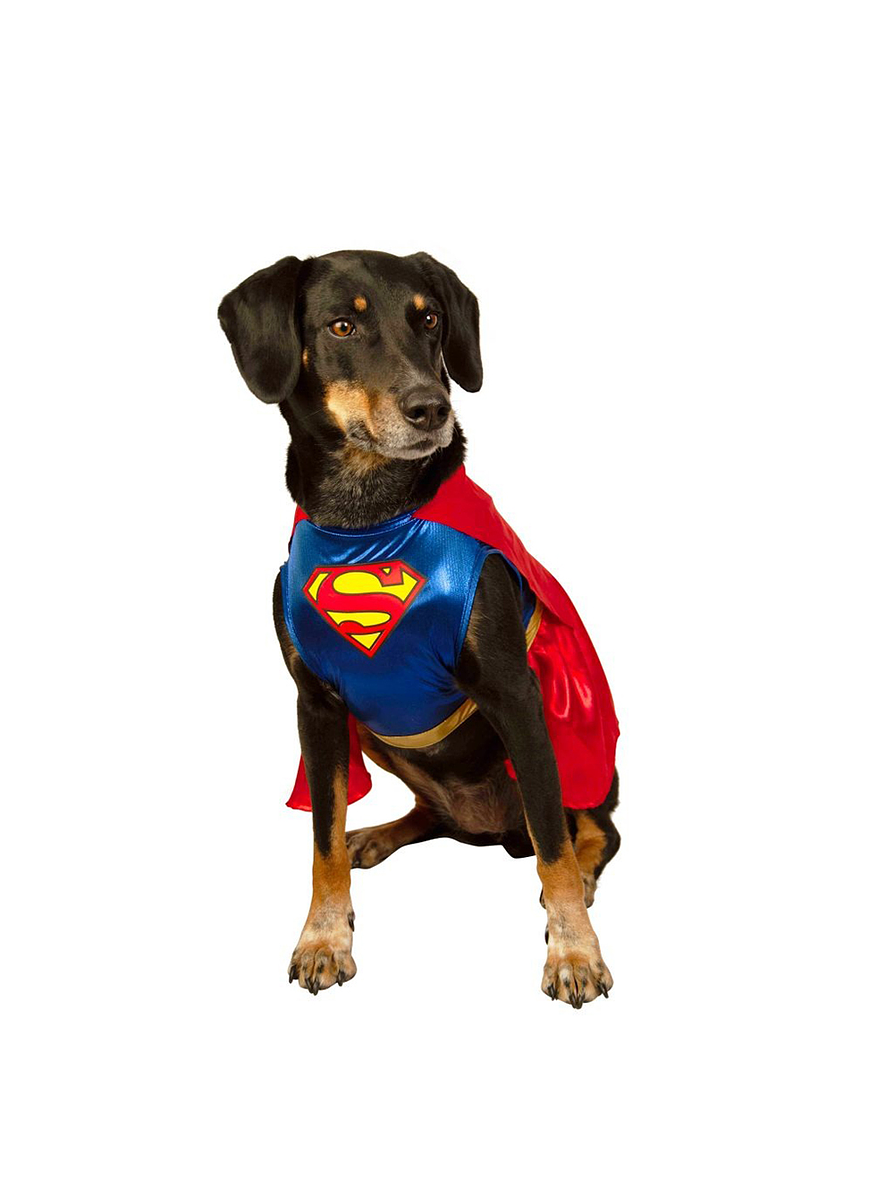 Disfraz Para Perro De Super Chica 1
