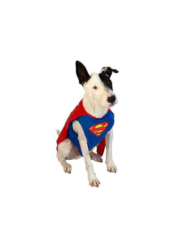 Disfraz Para Perro De Superman 1