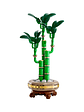 Lego Botanicals Bambú de la suerte  - Miniatura 2
