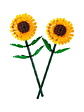 Lego Botanicals Girasoles  - Miniatura 2