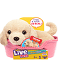 Little Live Pets Mi Primer Cachorro Mini Surtido - Miniatura 2