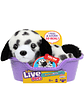 Little Live Pets Mi Primer Cachorro Mini Surtido - Miniatura 3
