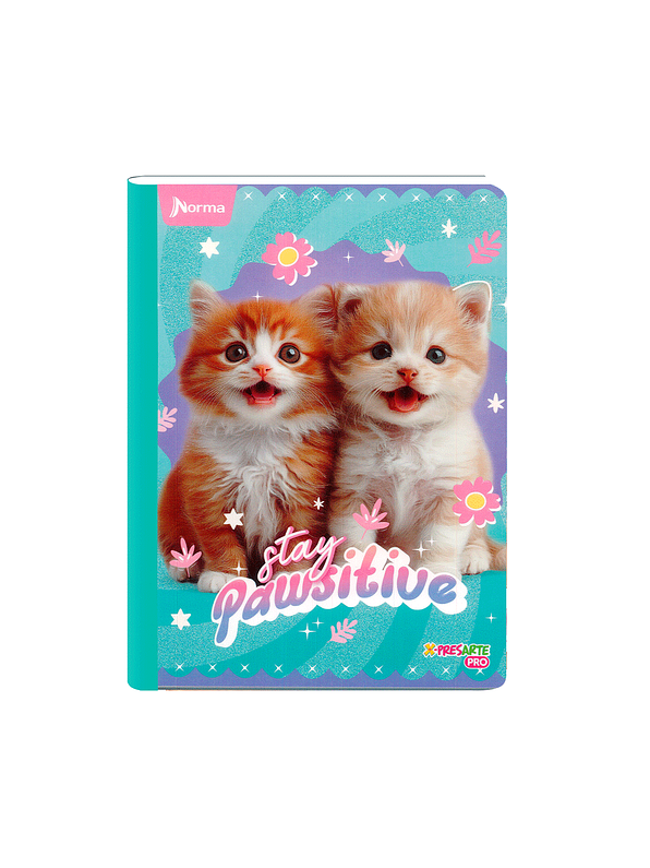 Cuaderno Cosido Norma Cats 50 Hojas Cuadros 1
