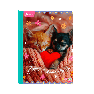 Cuaderno Cosido Norma Cats 50 Hojas Cuadros