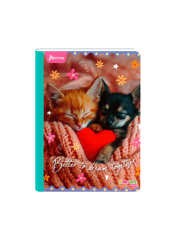 Cuaderno Cosido Norma Cats 50 Hojas Cuadros 2