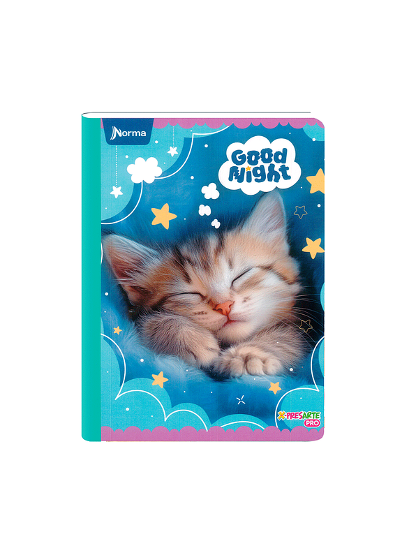 Cuaderno Cosido Norma Cats 50 Hojas Cuadros 3