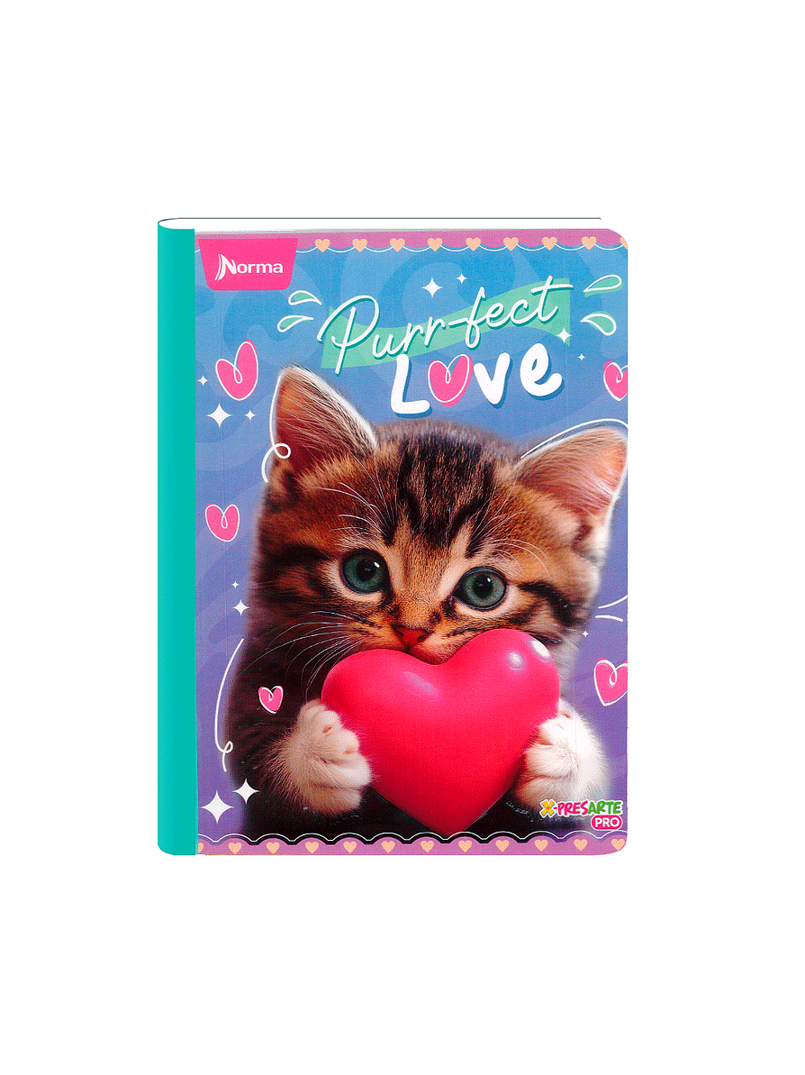 Cuaderno Cosido Norma Cats 50 Hojas Cuadros 5