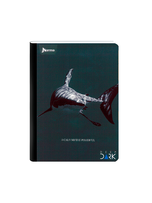 Cuaderno Cosido Deep Dark 100 Hojas Cuadros 11