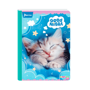 Cuaderno Cosido Norma Cats 100 Hojas Cuadros