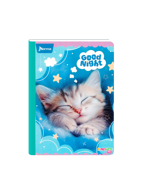 Cuaderno Cosido Norma Cats 100 Hojas Cuadros 1