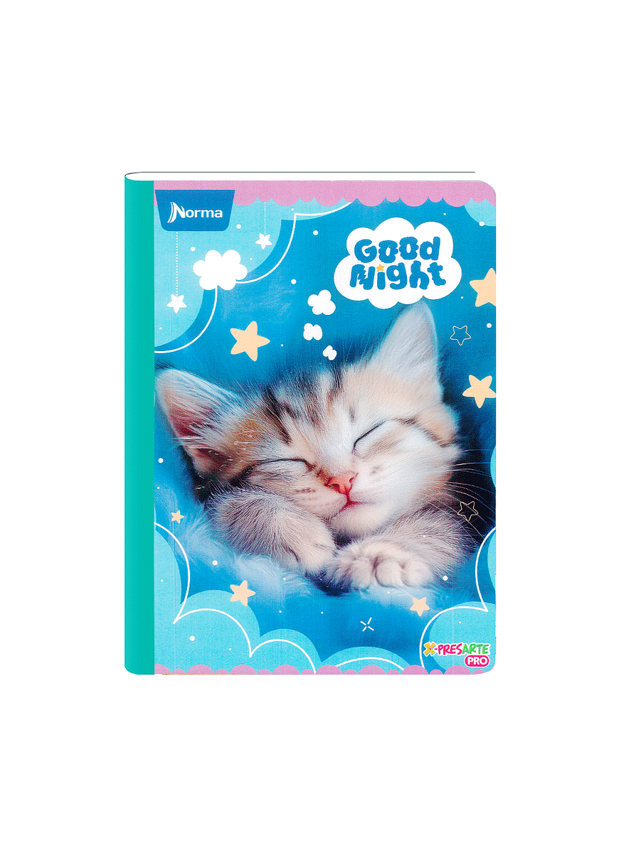 Cuaderno Cosido Norma Cats 100 Hojas Cuadros 1