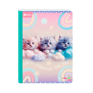Cuaderno Cosido Norma Cats 100 Hojas Cuadros