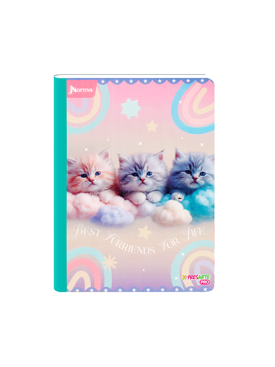 Cuaderno Cosido Norma Cats 100 Hojas Cuadros 2