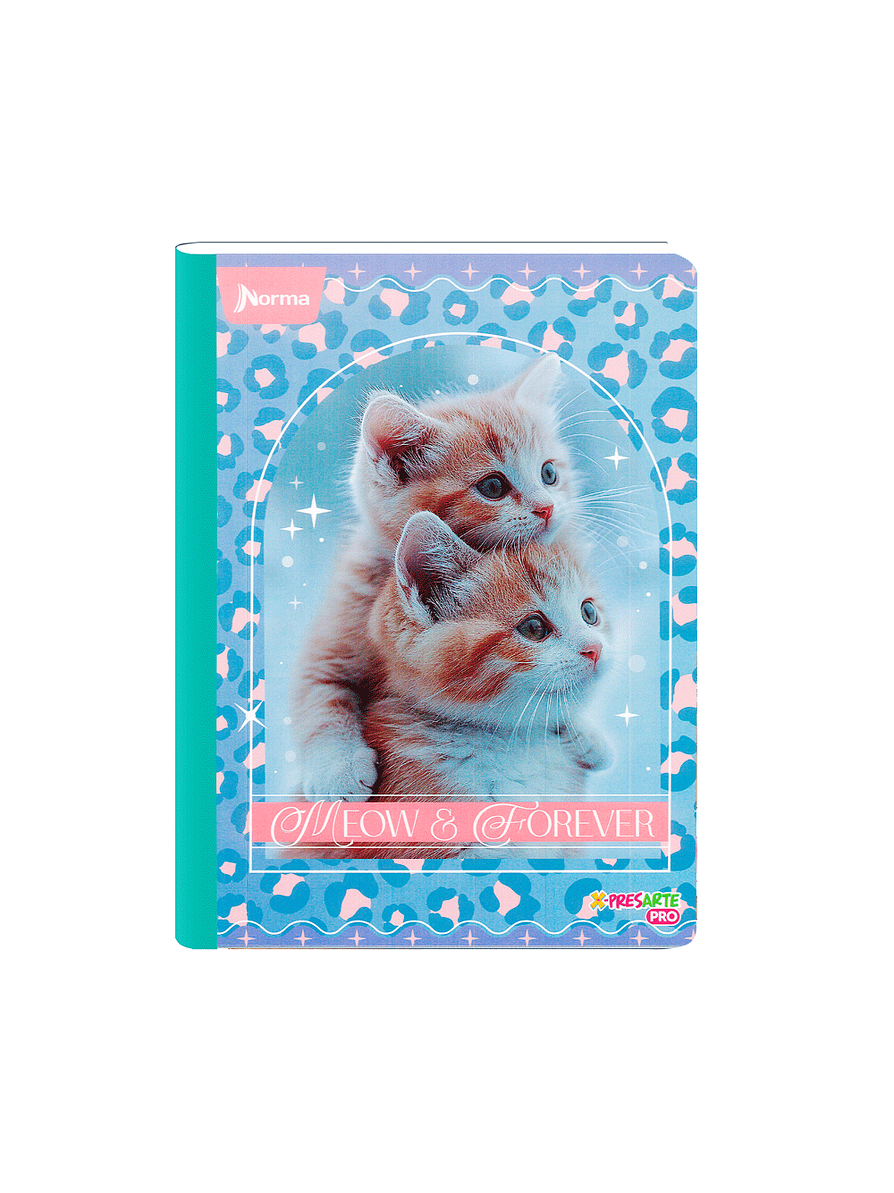 Cuaderno Cosido Norma Cats 100 Hojas Cuadros 3