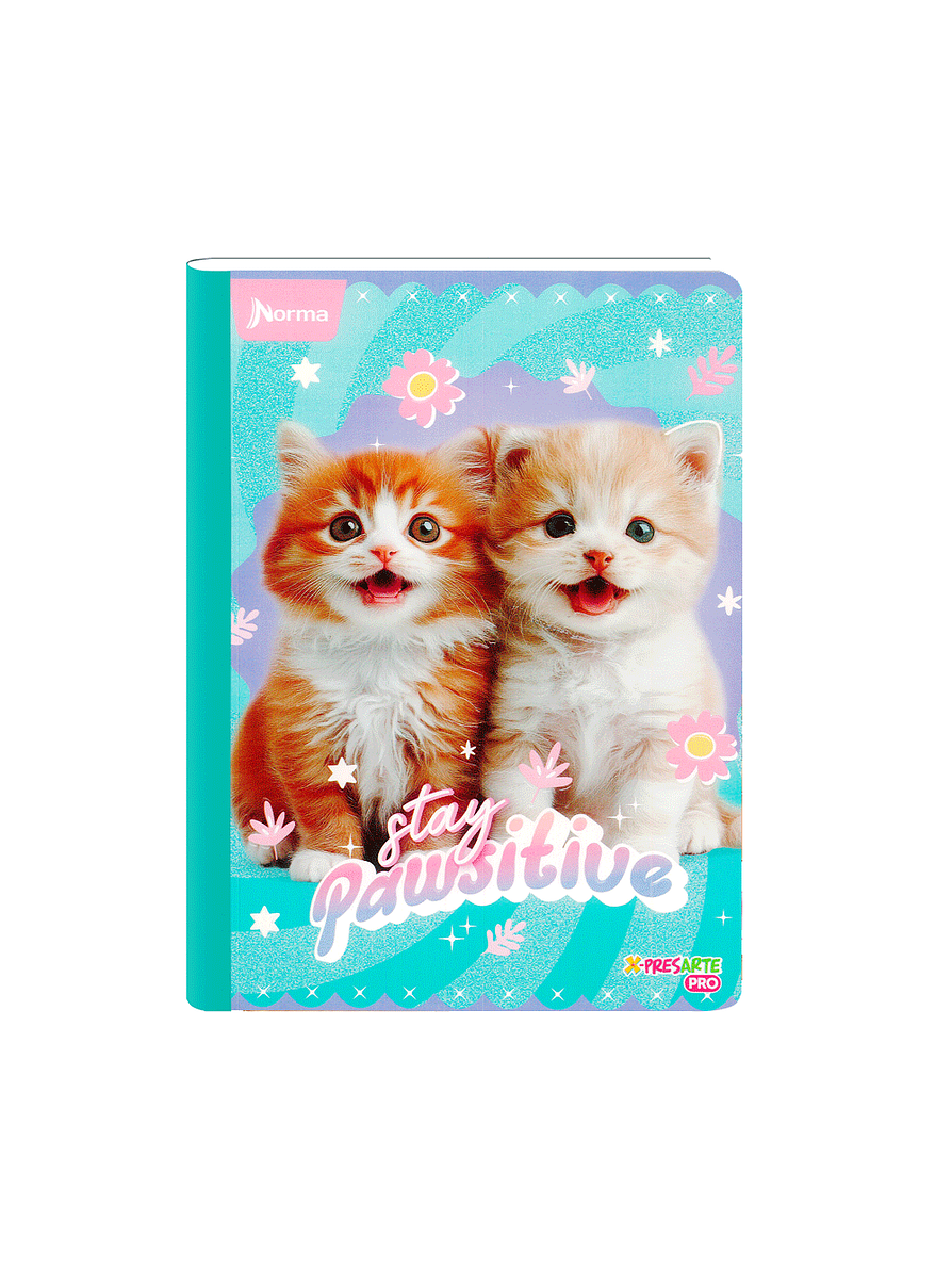 Cuaderno Cosido Norma Cats 100 Hojas Cuadros 4