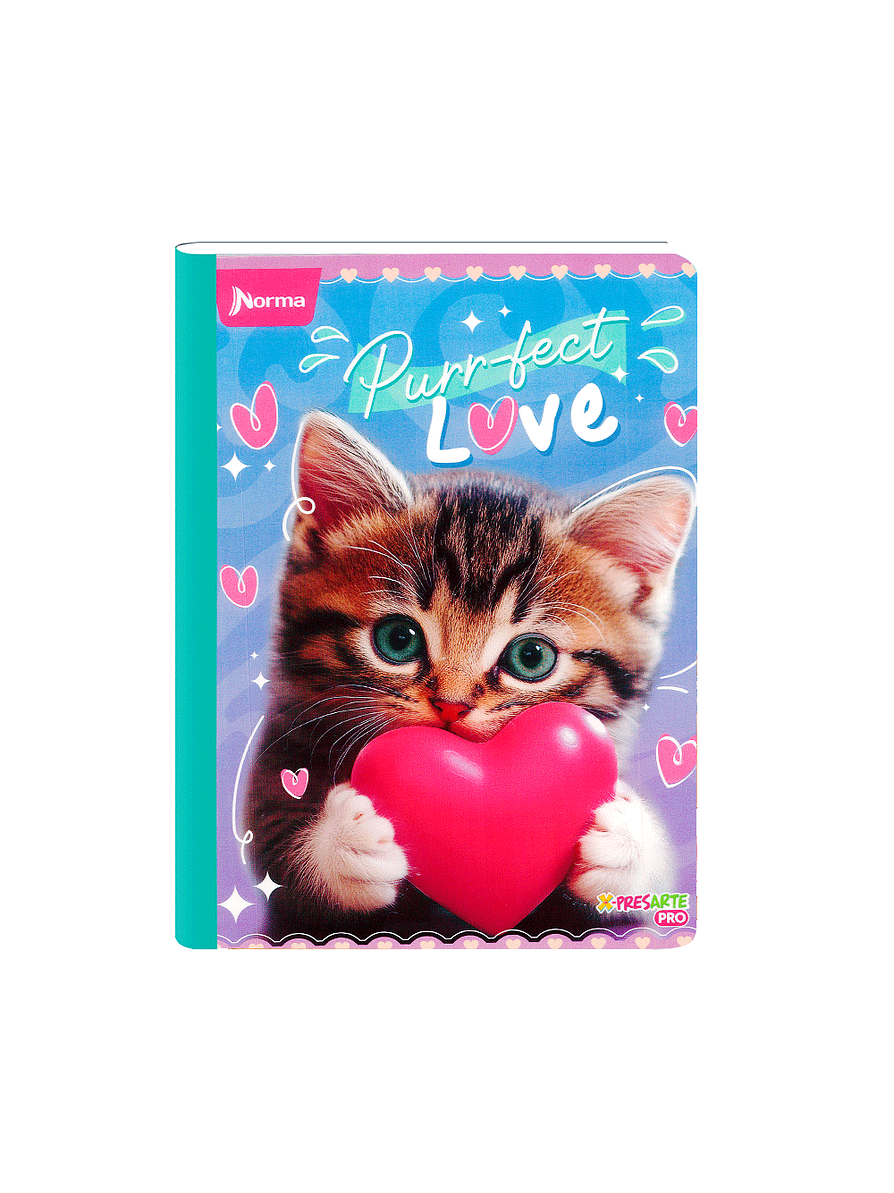 Cuaderno Cosido Norma Cats 100 Hojas Cuadros 5