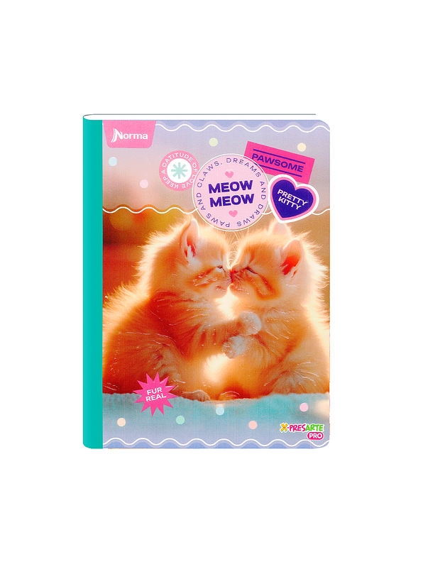 Cuaderno Cosido Norma Cats 100 Hojas Cuadros 6