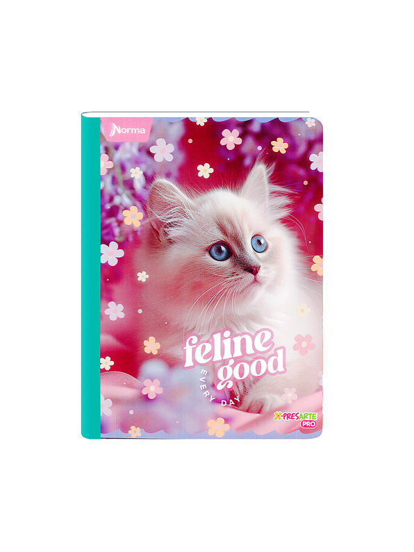 Cuaderno Cosido Norma Cats 100 Hojas Cuadros 7