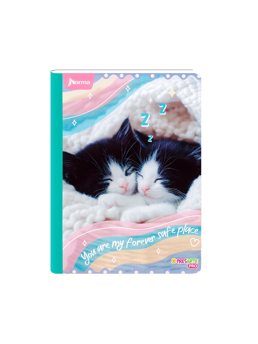 Cuaderno Cosido Norma Cats 100 Hojas Cuadros 8