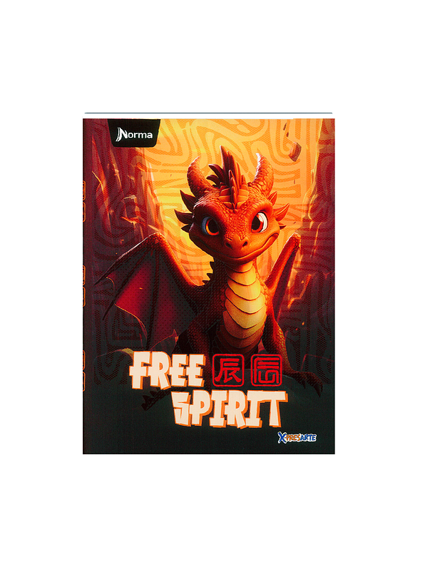 Cuaderno Cosido Pasta Dura X-Presarte 90 Hojas Cuadros Masculino 3