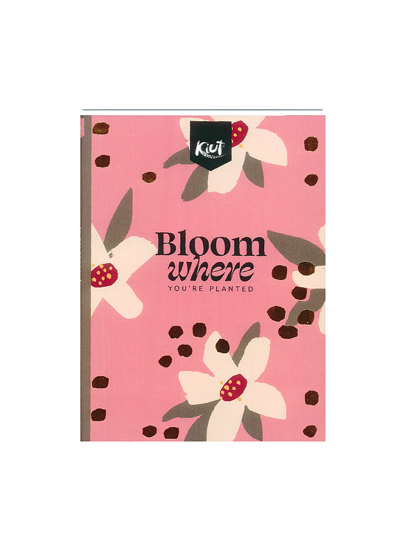 Cuaderno Cosido Pasta Dura Kiut Motivo 90 Hojas Cuadros 7